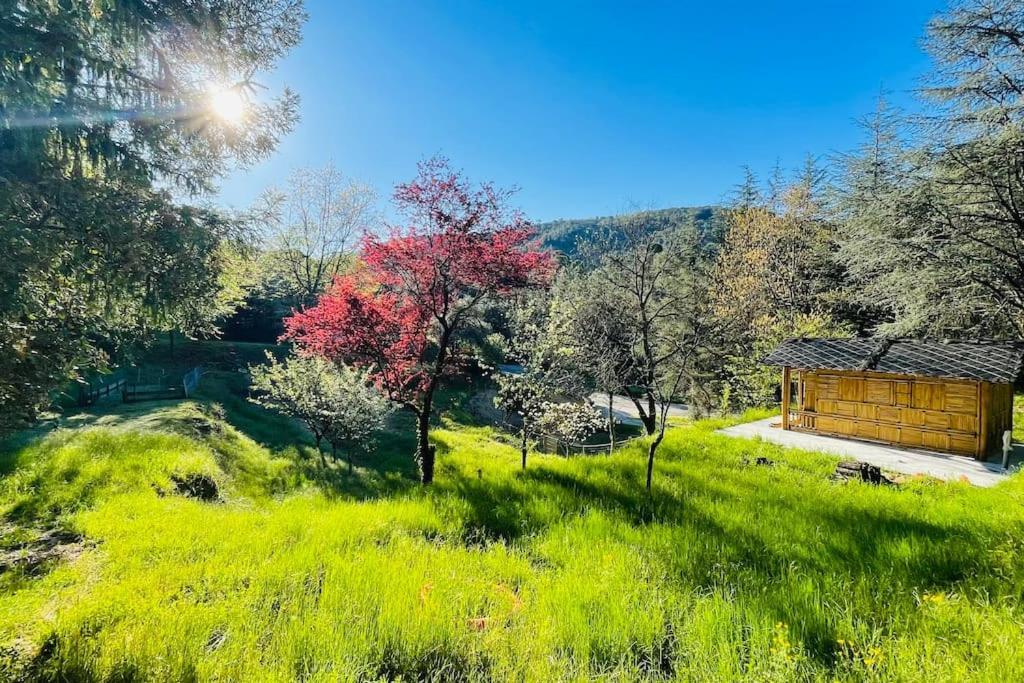 Ferienwohnung Gite Des 3 Vallees - Le Soleil Des Cevennes Saint-Jean-du-Gard Exterior foto