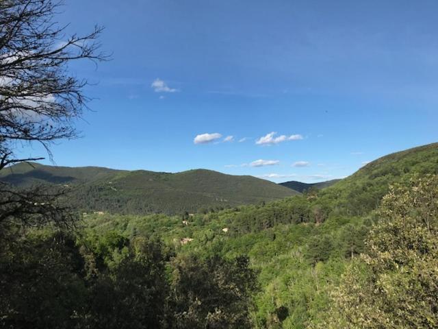 Ferienwohnung Gite Des 3 Vallees - Le Soleil Des Cevennes Saint-Jean-du-Gard Exterior foto